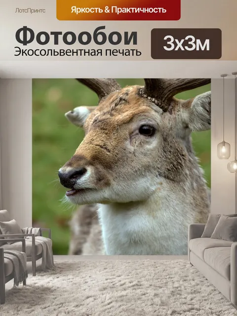Фотообои Олень