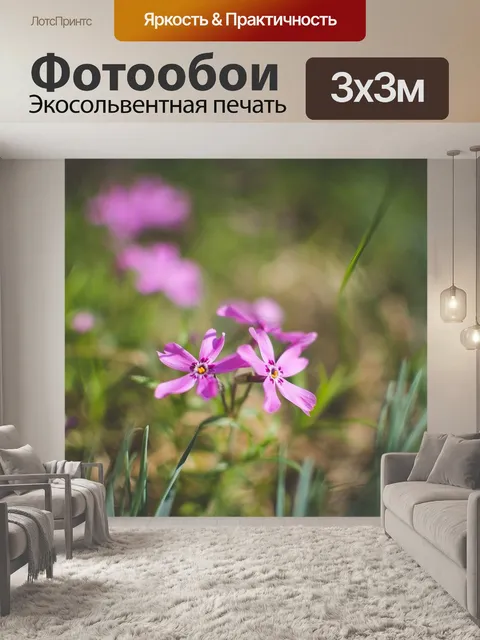 Фотообои Красивый