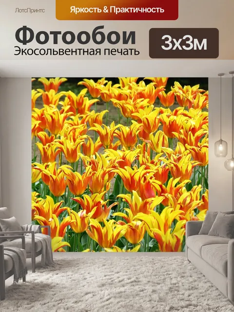 Фотообои Тюльпаны