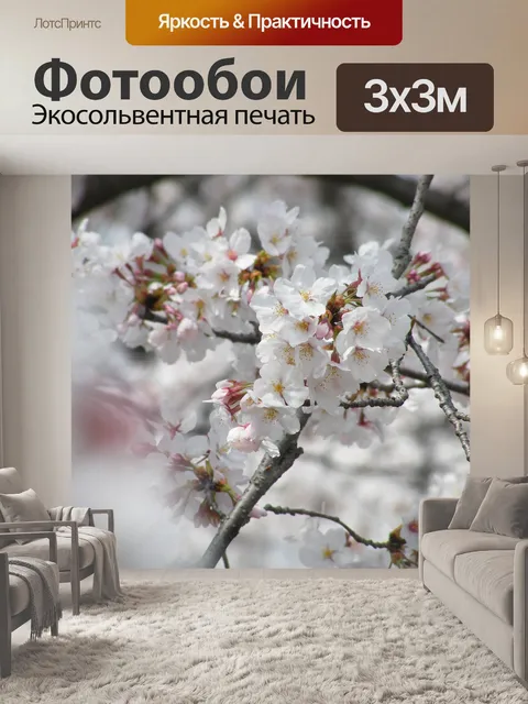 Фотообои Цветы