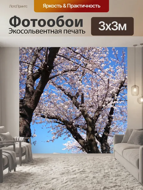 Фотообои Цветы