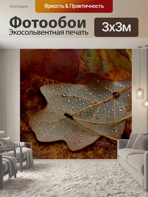 Фотообои Лист