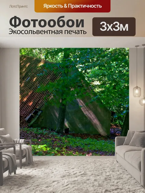 Фотообои Фон