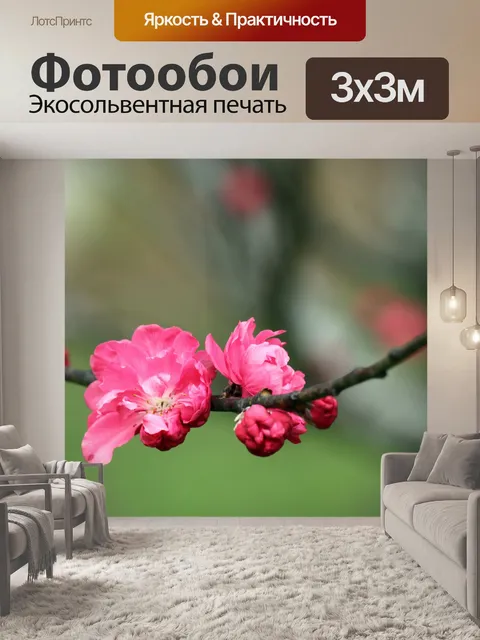 Фотообои Персик цветок в цвету