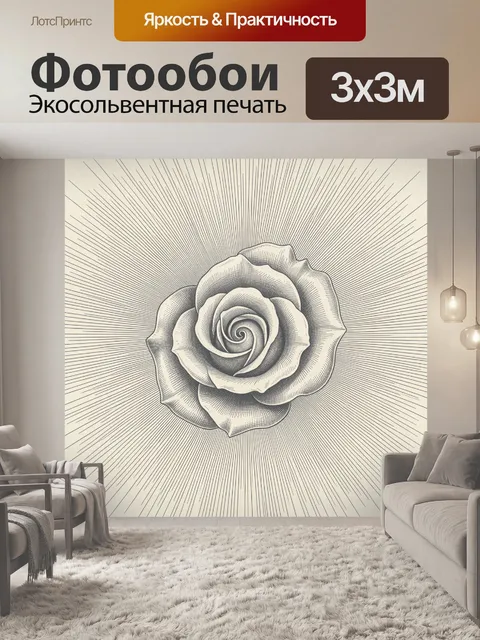Фотообои Монохромная роза с лучами