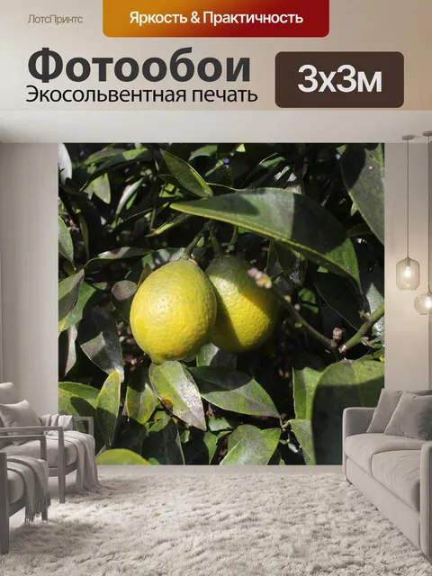 Фотообои Фрукты