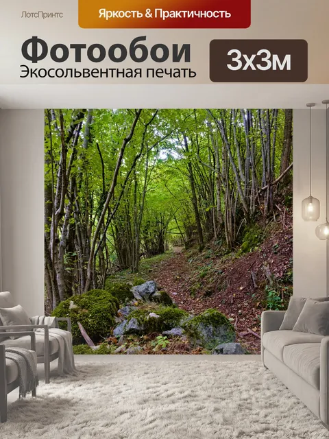 Фотообои Тропа