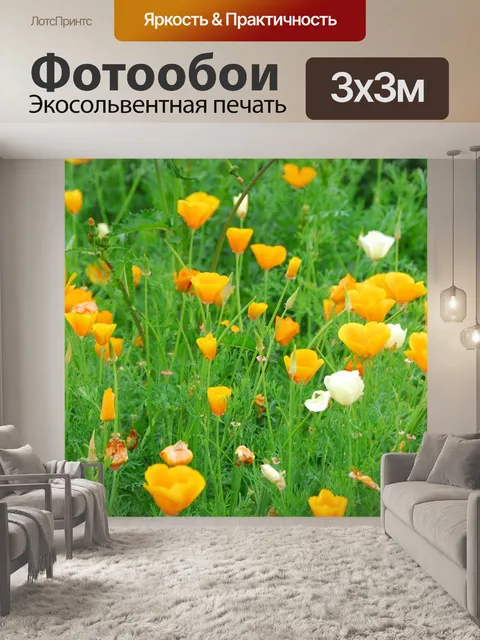 Фотообои Маки