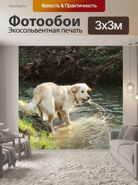 Фотообои Собака
