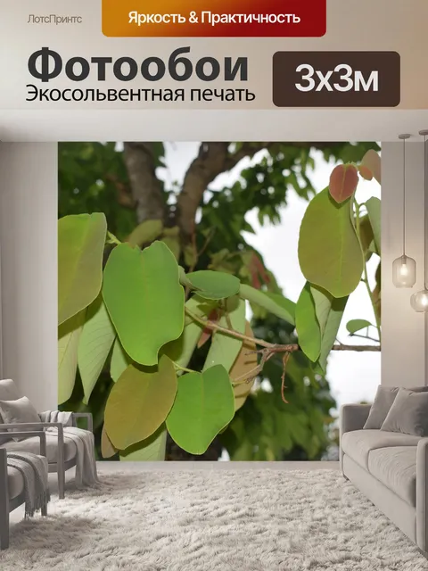 Фотообои Дерево