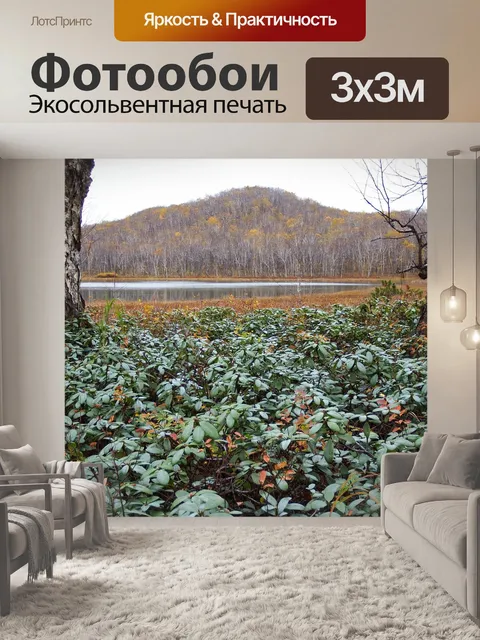 Фотообои Лес