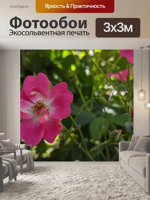 Фотообои Цветы