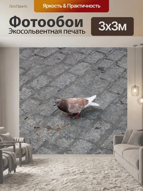 Фотообои Птица