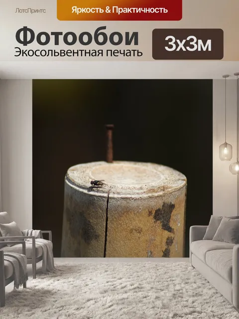 Фотообои Картинки