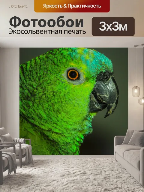 Фотообои Попугай