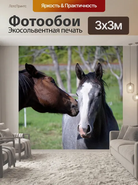 Фотообои Лошади