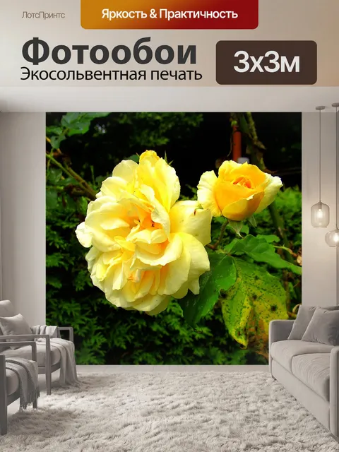 Фотообои Розы