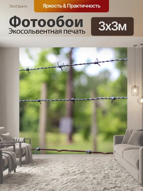 Фотообои Барб провода 2