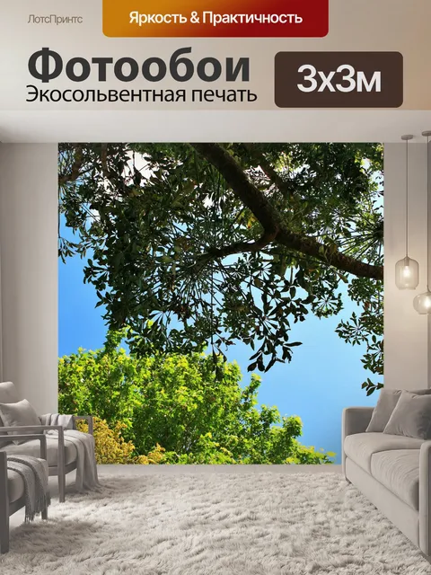 Фотообои Kiepersol дерево в саду