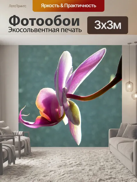 Фотообои Орхидея