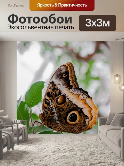 Фотообои Бабочка