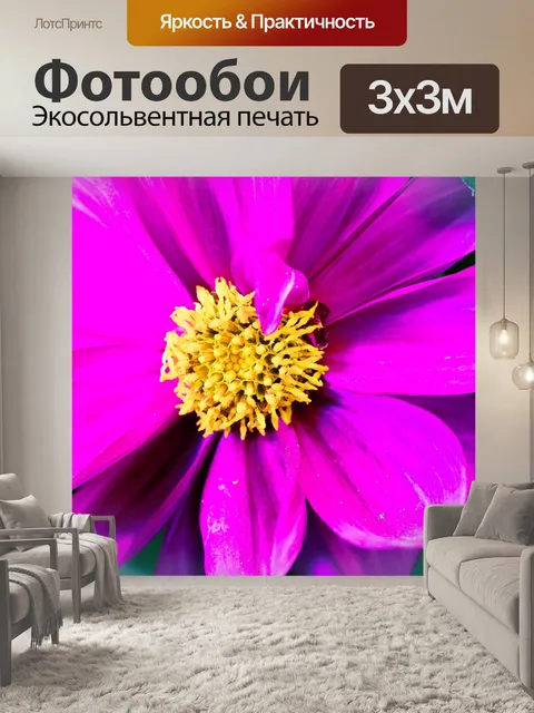 Фотообои Цветок