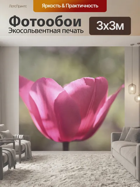 Фотообои Цветут цветы тюльпана