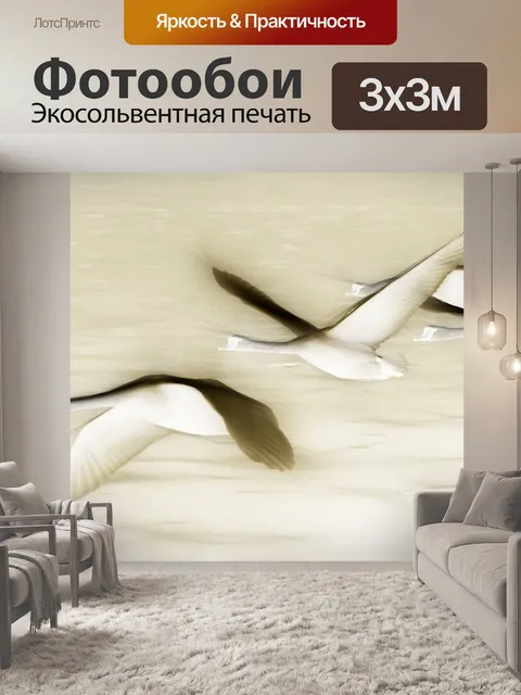 Фотообои Лебедь