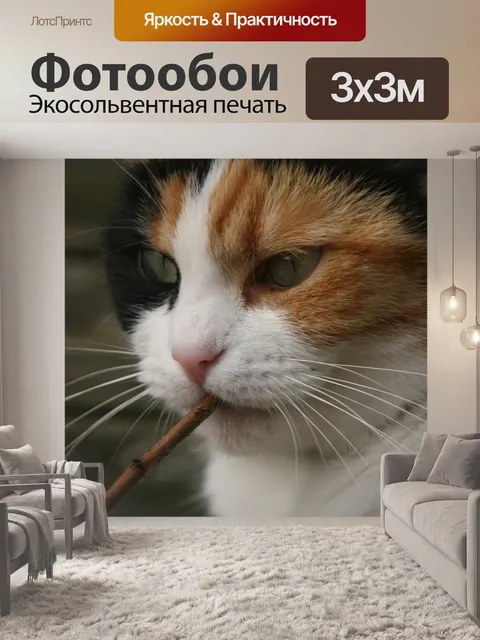 Фотообои Кошка