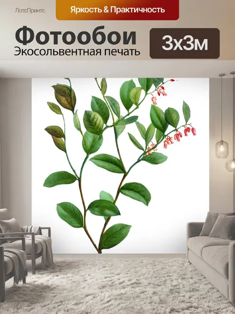 Фотообои Филиал старинное искусство старый