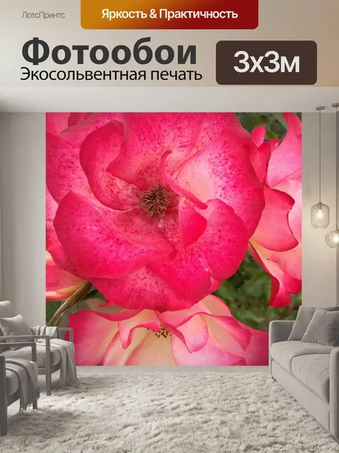 Фотообои Розы