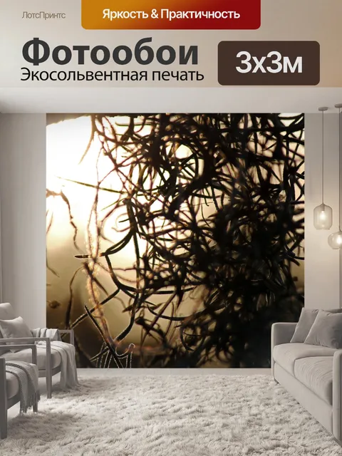 Фотообои испанский мох в силуэт