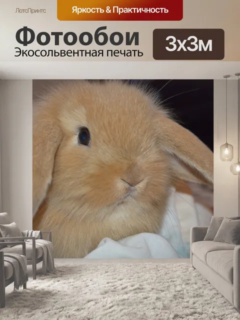 Фотообои Животное