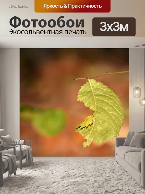 Фотообои Лист