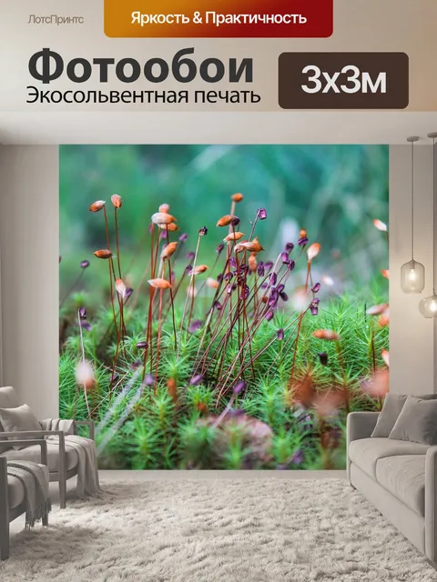Фотообои Мох