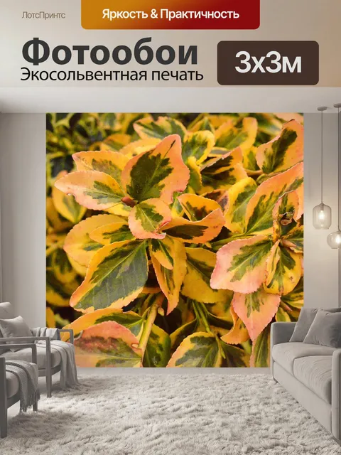 Фотообои Листья