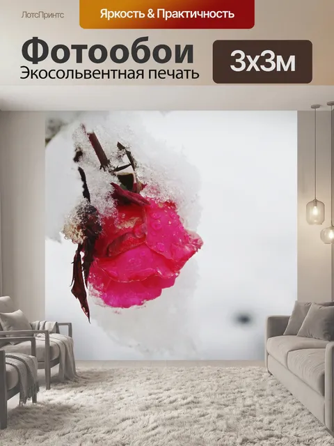 Фотообои Роза