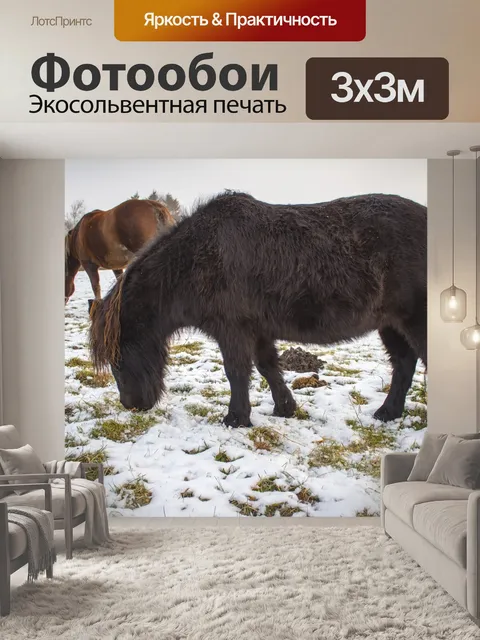 Фотообои Зима