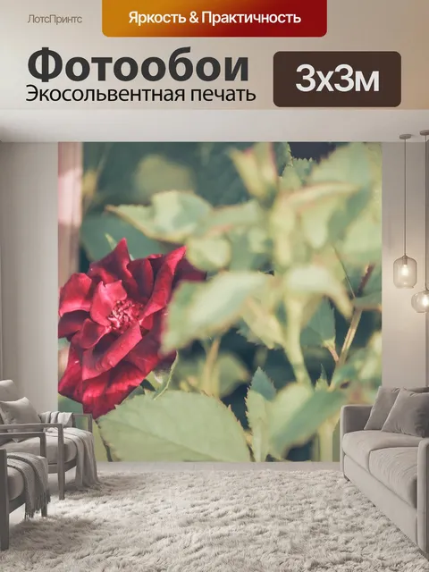 Фотообои Макрос