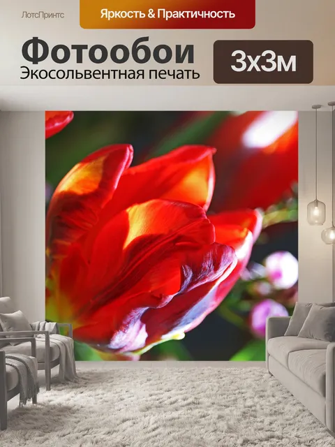 Фотообои Тюльпаны