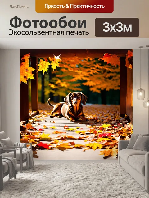 Фотообои такса, упитанная и счастливая, лежит на деревянной веранде, окруженная пестрым ковром из осенних листьев