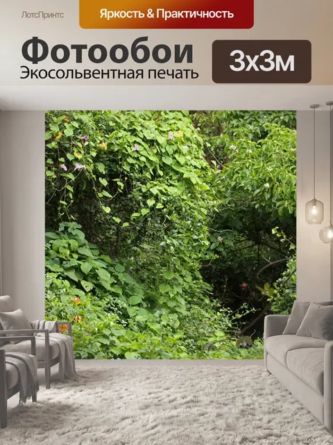 Фотообои зеленая растительность и лианы