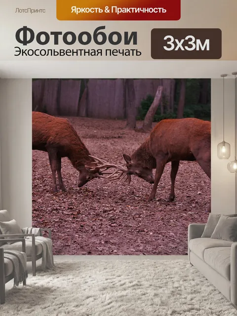 Фотообои Олень