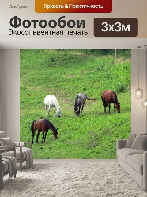 Фотообои Трава