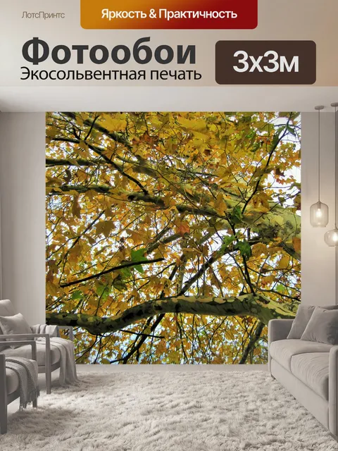 Фотообои платан осенью