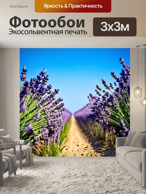 Фотообои лаванда под ясным небом