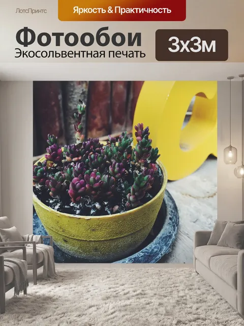 Фотообои Каменная роза