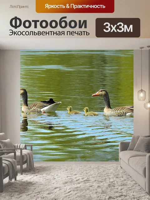 Фотообои Гусь