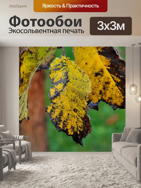 Фотообои Вяз