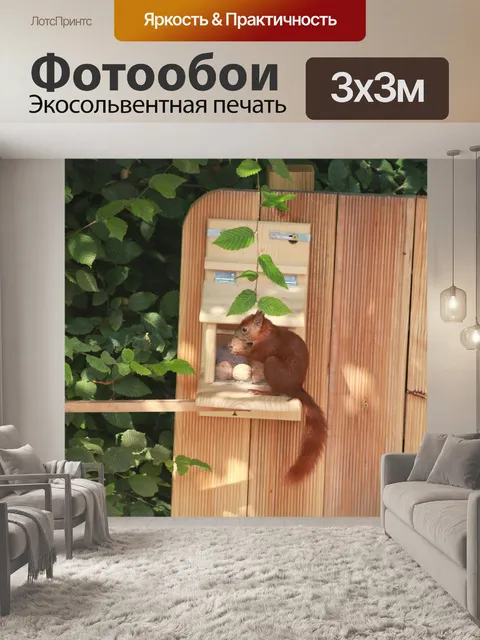 Фотообои Белка